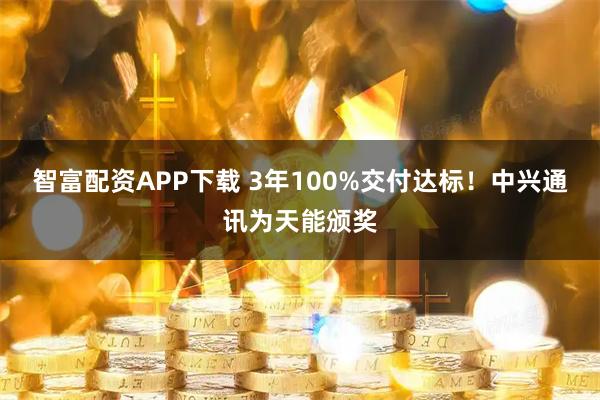 智富配资APP下载 3年100%交付达标！中兴通讯为天能颁奖