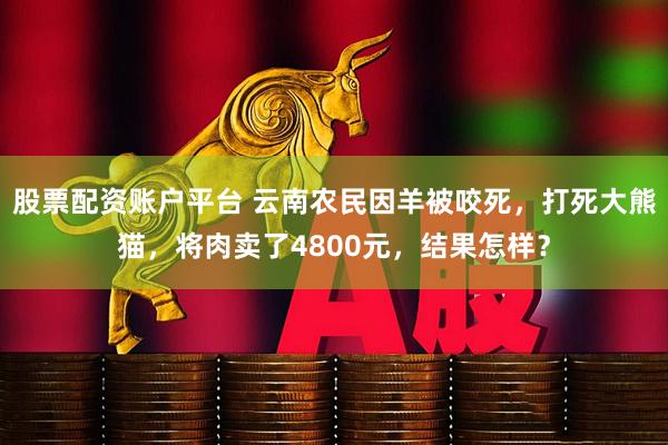 股票配资账户平台 云南农民因羊被咬死，打死大熊猫，将肉卖了4800元，结果怎样？