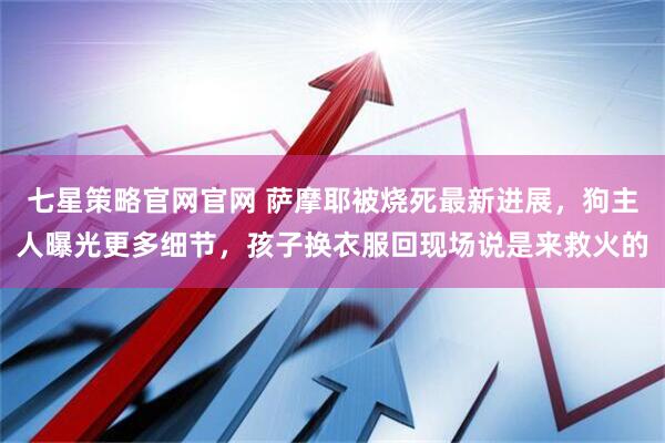 七星策略官网官网 萨摩耶被烧死最新进展，狗主人曝光更多细节，孩子换衣服回现场说是来救火的